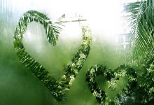 天涯论坛最惊人的十大神贴盘点