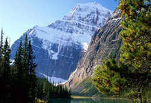 天涯论坛热议天天今天话题